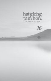 book Hạt Giống Tâm Hồn 16--Tìm Lại Bình Yên