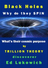 book Black Holes: Why Do They Spin