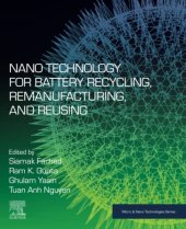 book Nano Technology for Battery Recycling, Remanufacturing, and Reusing (Micro and Nano Technologies)