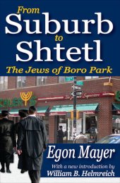 book From Suburb to Shtetl