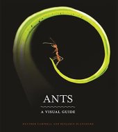 book Ants: A Visual Guide
