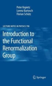 book Introduction to the Functional Renormalization Group