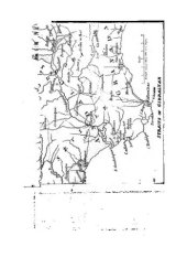 book A Narrative of the Principal Events of the Campaigns of 1809, 1810 & 1811 in Spain and Portugal ; interspersed with remarks on local scenery and manners