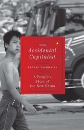 book The Accidental Capitalist