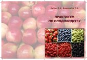 book Практикум по плодоводству: Учебное пособие