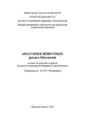 book Анатомия животных (раздел Миология): учебное пособие для студентов института ветеринарной медицины и биотехнологии специальность 36.05.01- Ветеринария