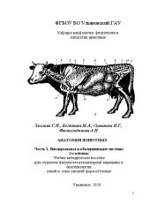 book Учебно-методическое пособие «Анатомия животных». Часть 2. Висцеральные и объединяющие системы