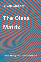 book The Class Matrix: Social Theory After the Cultural Turn