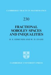 book Fractional Sobolev Spaces and Inequalities