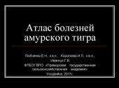 book Атлас болезней амурского тигра