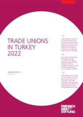 book TRADE UNIONS IN TURKEY 2022