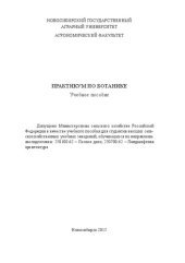 book Практикум по ботанике: учебное пособие