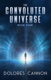 book The Convoluted Universe - Book Four