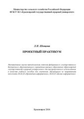 book Проектный практикум: Учебное пособие
