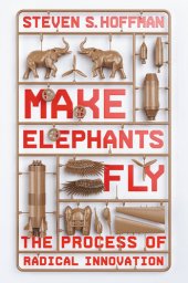 book Make Elephants Fly: The Process of Radical Innovation