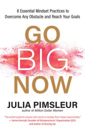 book Go Big Now: 8 Essential Mindset Practices to Overcome Any Obstacle and Reach Your Goals