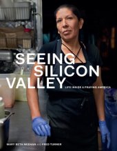 book Seeing Silicon Valley: Life Inside a Fraying America