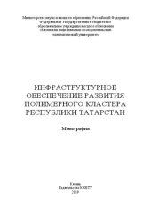 book Инфраструктурное обеспечение развития полимерного кластера Республики Татарстан: монография