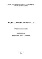 book Аудит эффективности: учебное пособие