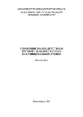 book Управление взаимодействием крупного и малого бизнеса на муниципальном уровне: монография