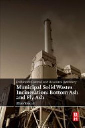 book Pollution Control and Resource Recovery: Municipal Solid Wastes Incineration: Bottom Ash and Fly Ash