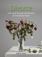 book Divorce: Your Route Through the Financial and Emotional Maze