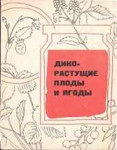 book Дикорастущие плоды и ягоды