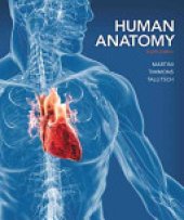 book Human Anatomy