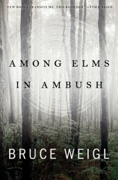 book Among Elms, in Ambush