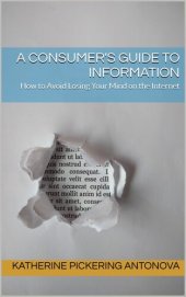 book A Consumer's Guide to Information: How to Avoid Losing Your Mind on the Internet