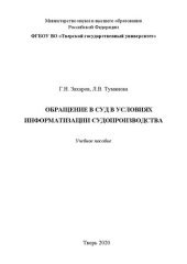 book Обращение в суд в условиях информатизации судопроизводства: Учебное пособие