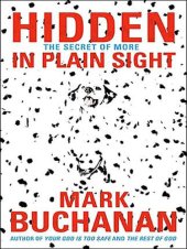 book Hidden in Plain Sight: The Secret of More