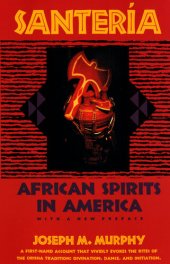 book Santeria: African Spirits in America