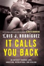 book It Calls You Back: An Odyssey through Love, Addiction, Revolutions, and Healing