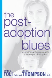 book The Post-Adoption Blues: Overcoming the Unforseen Challenges of Adoption