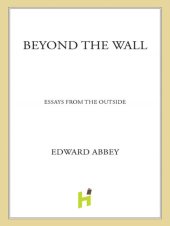 book Beyond the Wall: Essays from the Outside