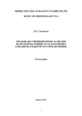 book Продовольственный кризис в Англии во второй половине XVI века и политика Елизаветы Тюдор по его преодолению: Монография