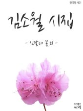 book 김소월시집