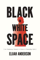 book Black in White Space: The Enduring Impact of Color in Everyday Life