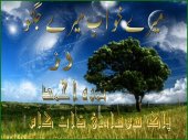 book میرے خواب میرے جگنو / Mere Khwab Mere Jugnoo