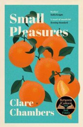 book Small Pleasures: Longlisted for the Women's Prize for Fiction 2021