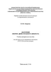 book Анатомия опорно-двигательного аппарата: Учебно-методическое пособие для обучающихся по направлению подготовки 49.03.01 Физическая культура