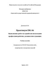 book Практикум ПМ.06 Выполнение работ по одной или нескольким профессиям рабочих, должностям служащих: учебное пособие