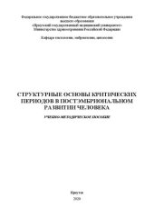 book Структурные основы критических периодов в постэмбриональном развитии человека: учебно-методическое пособие для студентов