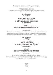 book Анатомия человека в таблицах, схемах и рисунках . В трех частях. Часть 1. Опорно-двигательный аппарат=Human anatomyin tables, diagrams and figures. In three parts. Volume 1. Bones, connections and muscles