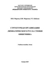 book Структурная организация лимфатического русла стенки кишечника: Учебное пособие. Атлас