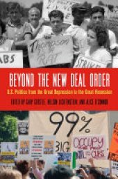 book Beyond the New Deal Order: U.S. Politics from the Great Depression to the Great Recession