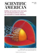 book Scientific American (May 1993)