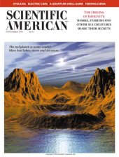 book Scientific American (November 1996)