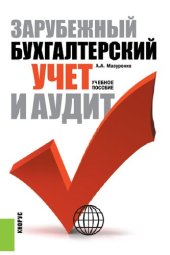 book Зарубежный бухгалтерский учет и аудит.